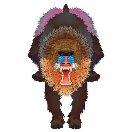 Latawiec BRAINSTORM - WNS Rainforest 44x28'' Nylon Mandrill