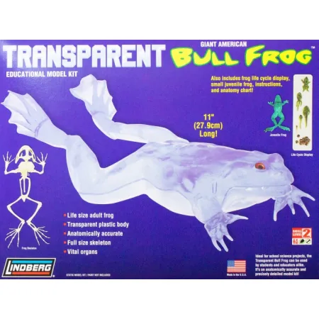 Model plastikowy Lindberg - Transparent Bull Frog (Przezroczysta żaba rycząca)