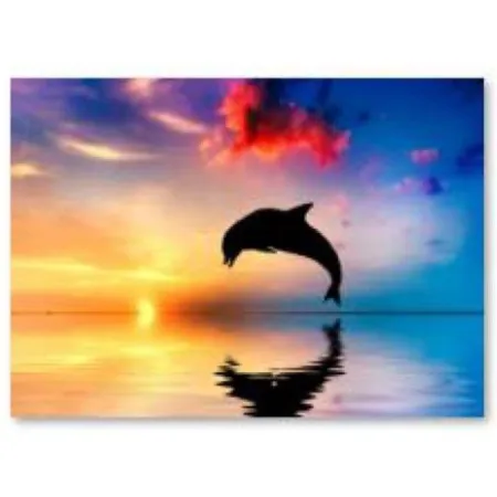 Haft Diamentowy, Obraz, Mozaika Diamentowa Diamond Painting, DELFIN 40x30cm
