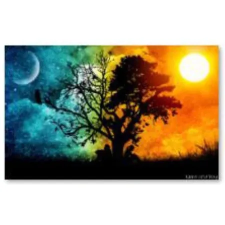 Haft Diamentowy, Obraz, Mozaika Diamentowa Diamond Painting, DRZEWO - NOC i DZIEŃ 40x30cm