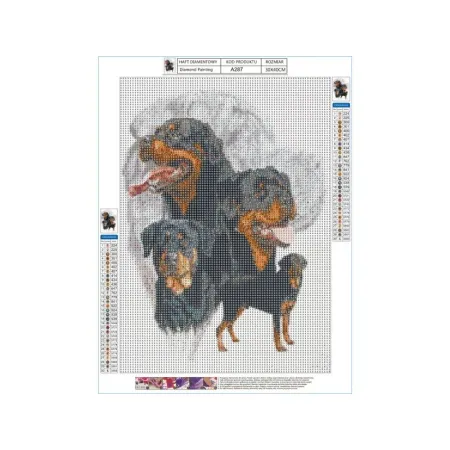 Haft Diamentowy, Obraz, Mozaika Diamentowa Diamond Painting, PIES - ROTTWEILER 30x40cm-1645573