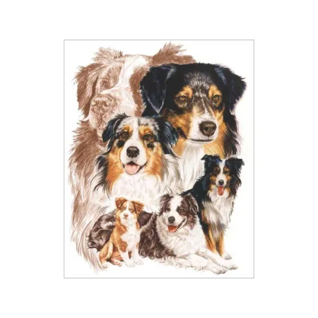 Haft Diamentowy, Obraz, Mozaika Diamentowa Diamond Painting, PIES - OWCZAREK AUSTRALIJSKI 30x40cm