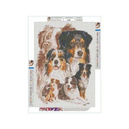 Haft Diamentowy, Obraz, Mozaika Diamentowa Diamond Painting, PIES - OWCZAREK AUSTRALIJSKI 30x40cm-1645581