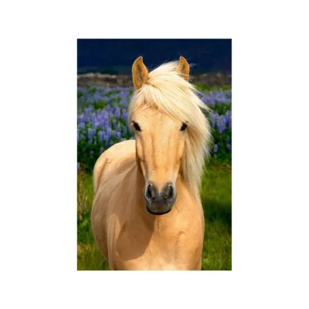 Haft Diamentowy, Obraz, Mozaika Diamentowa Diamond Painting, DOSTOJNY KOŃ 30x40cm