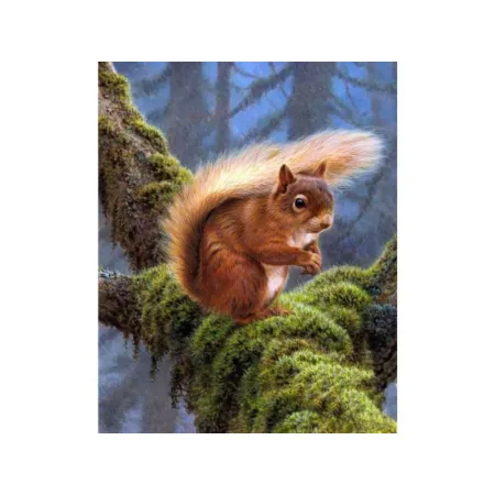 Haft Diamentowy, Obraz, Mozaika Diamentowa Diamond Painting, WIEWIÓRKA 30x40cm