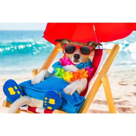 Haft Diamentowy, Obraz, Mozaika Diamentowa Diamond Painting, PIES NA LEŻAKU 40x30cm