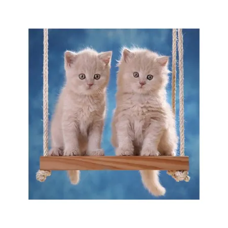 Haft Diamentowy, Obraz, Mozaika Diamentowa Diamond Painting, KOTKI NA HUŚTAWCE 30x30cm