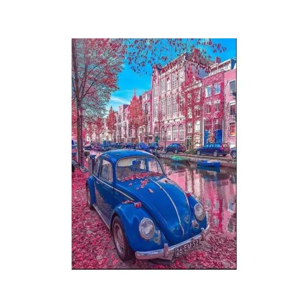 OBRAZ MALOWANIE PO NUMERACH RAMA 40x50cm RETRO GARBUS