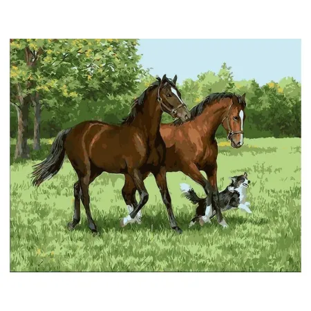 OBRAZ MALOWANIE PO NUMERACH RAMA 50x40cm DWA KONIE I PIES