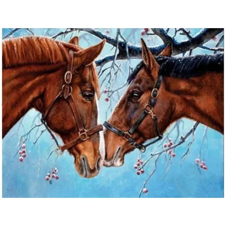 OBRAZ MALOWANIE PO NUMERACH RAMA 50x40cm DWA KONIE