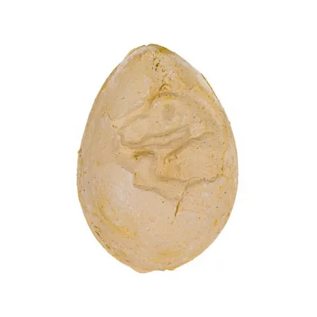 Wykopaliska Archeologiczne, JAJKO Z DINOZAUREM, Mały Archeolog, Zestaw-1649039