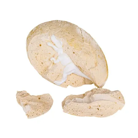 Wykopaliska Archeologiczne, JAJKO Z DINOZAUREM, Mały Archeolog, Zestaw-1649043
