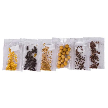 Szklarnia Dla Dzieci, Mini Ogród, Ogródek + Akcesoria-1649575