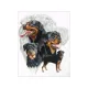 Haft Diamentowy, Obraz, Mozaika Diamentowa Diamond Painting, PIES - ROTTWEILER 30x40cm