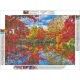 Haft Diamentowy, Obraz, Mozaika Diamentowa Diamond Painting, PARK JESIENIĄ 40x30cm-1645747