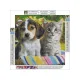 Haft Diamentowy, Obraz, Mozaika Diamentowa Diamond Painting, SZCZENIAK Z KOTKIEM 30x30cm-1648223