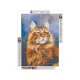 Haft Diamentowy, Obraz, Mozaika Diamentowa Diamond Painting, RUDY MAINE COON 30x40cm-1649850