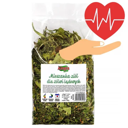 Alegia - codzienne zioła dla Żółwi 80g-1899022