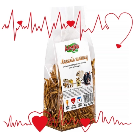 Alegia - larwy mącznika 60g-1899155