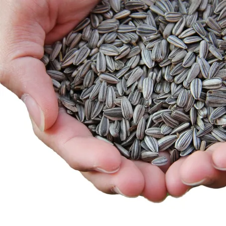 Alegia - przysmak słonecznik 1kg-1899256