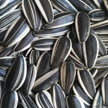 Alegia - przysmak słonecznik 1kg-1899257