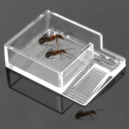 Ant Expert Ant Feeder - karmnik dla mrówek-1899515