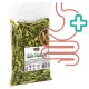 Alegia - ziele pszenicy 80g-1899304