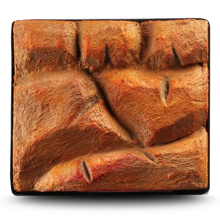 Background 3D brown rock - tło do terrarium 20x20-1901162