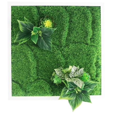 Bello Plant - Chinese Evergreen - roślina XL do obrazów 3D-1901229