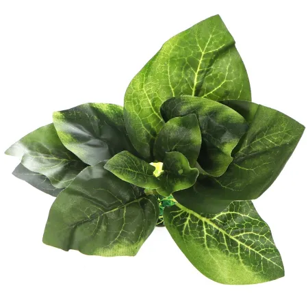 Bello Plant - Fresh Spring Flora - roślina M do obrazów 3D-1901244