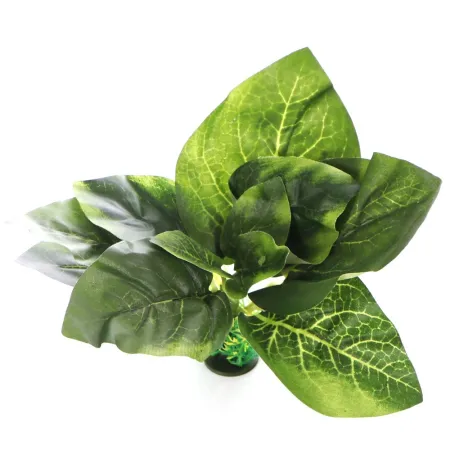 Bello Plant - Fresh Spring Flora - roślina M do obrazów 3D-1901245