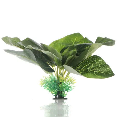 Bello Plant - Fresh Spring Flora - roślina M do obrazów 3D-1901246