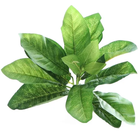 Bello Plant - Frog Houseplant - roślina XL do obrazów 3D-1901248