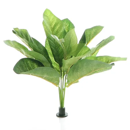 Bello Plant - Frog Houseplant - roślina XL do obrazów 3D-1901249