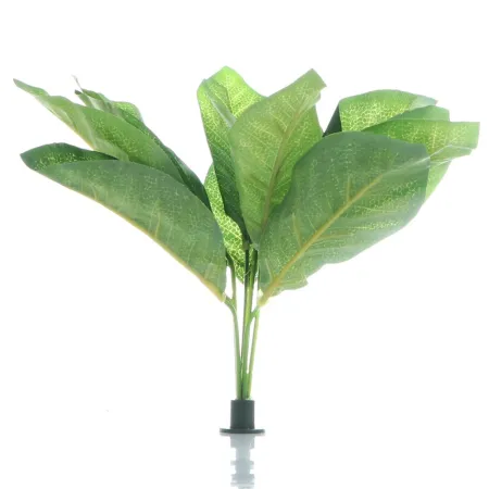 Bello Plant - Frog Houseplant - roślina XL do obrazów 3D-1901250