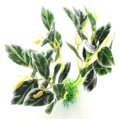 Bello Plant - Frozen Bloom - roślina L do obrazów 3D-1901257