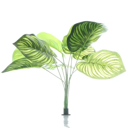 Bello Plant - Green Hearts - roślina XL do obrazów 3D-1901275