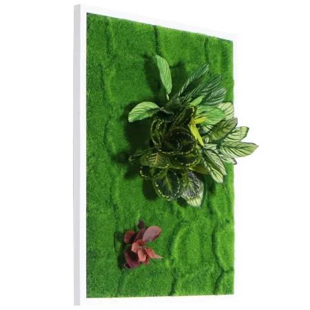 Bello Plant - Green Hearts - roślina XL do obrazów 3D-1901277