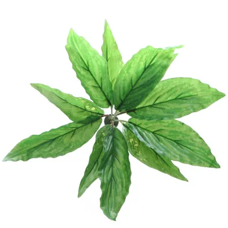 Bello Plant - Long Iron Plant - roślina XL do obrazów 3D