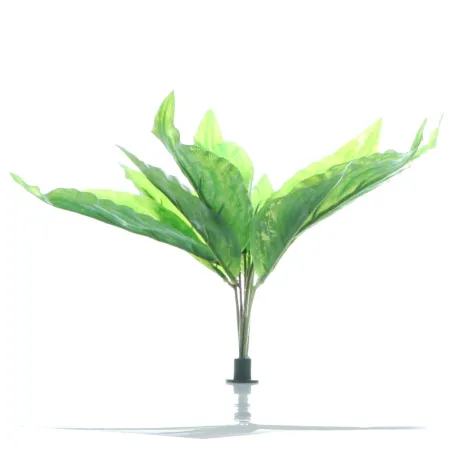 Bello Plant - Long Iron Plant - roślina XL do obrazów 3D-1901283