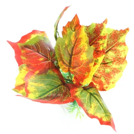 Bello Plant - Mystical Seed - roślina M do obrazów 3D-1901289