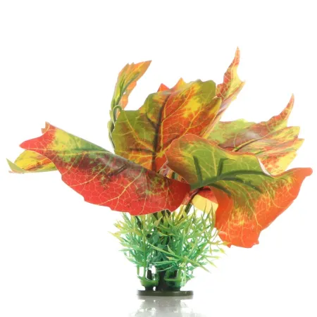 Bello Plant - Mystical Seed - roślina M do obrazów 3D-1901291