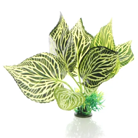 Bello Plant - Randy Green Overgrowth  - roślina M do obrazów 3D-1901308