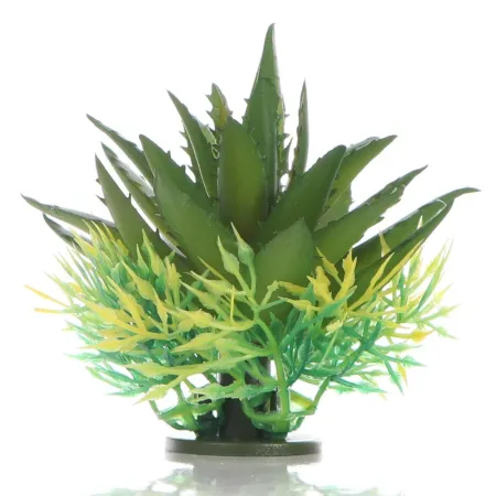 Bello Plant - Spiky Cactus - roślina S do obrazów 3D-1901316