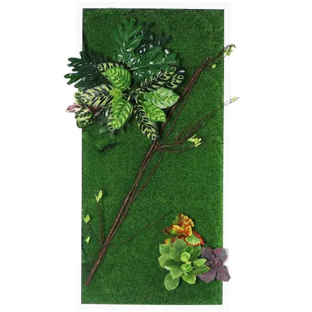 Bello Plant - Zebra Plant - roślina XL do obrazów 3D-1901344