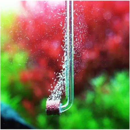 Chihiros Nano CO2 Diffuser Tiny - dyfuzor CO2 akrylowy-1902055