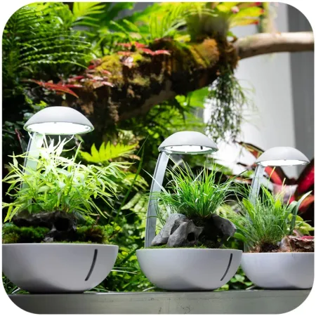 Chihiros Tiny Terrarium Egg - terrarium do hodowli roślin i gadów-1902122