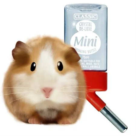 Classic Drinking Bottle - poidło dla gryzoni niekapiące-1902282