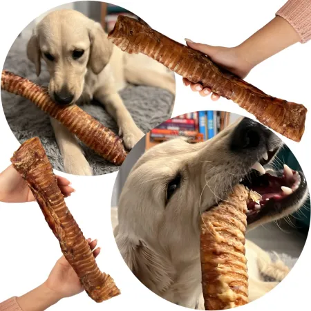 Dogario Bonni Beef Throat XL - chrupki gryzak 30cm - 40cm-1902552