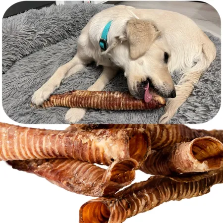 Dogario Bonni Beef Throat XXL - chrupki gryzak 40cm - 50cm-1902566